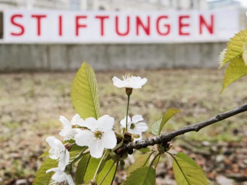 Zweig mit Blüten, im Hintergrund Kartons mit der Aufschrift "Stiftungen"